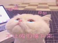 宿迁趣武商贸有限公司