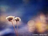 宿迁趣武商贸有限公司
