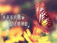 宿迁趣武商贸有限公司