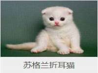 宿迁趣武商贸有限公司