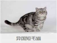 宿迁趣武商贸有限公司