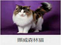 宿迁趣武商贸有限公司