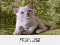 宿迁趣武商贸有限公司