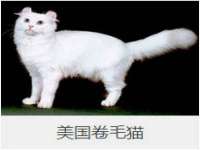 宿迁趣武商贸有限公司