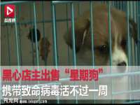 宿迁趣武商贸有限公司