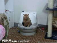 宿迁趣武商贸有限公司