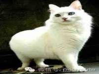 宿迁趣武商贸有限公司