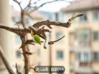 宿迁趣武商贸有限公司