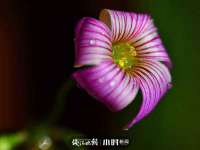 宿迁趣武商贸有限公司