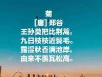 宿迁趣武商贸有限公司