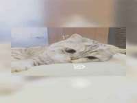 宿迁趣武商贸有限公司