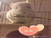 宿迁趣武商贸有限公司