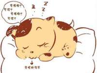 宿迁趣武商贸有限公司
