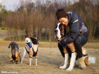 宿迁趣武商贸有限公司