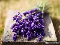 宿迁趣武商贸有限公司