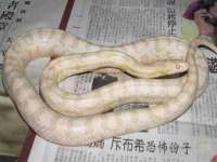 宿迁趣武商贸有限公司